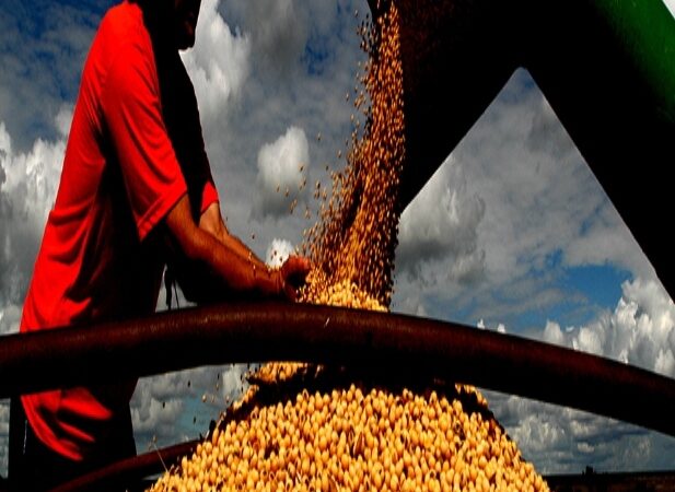 Setor de grãos deve crescer 8,5% na Bahia, prevê Conab