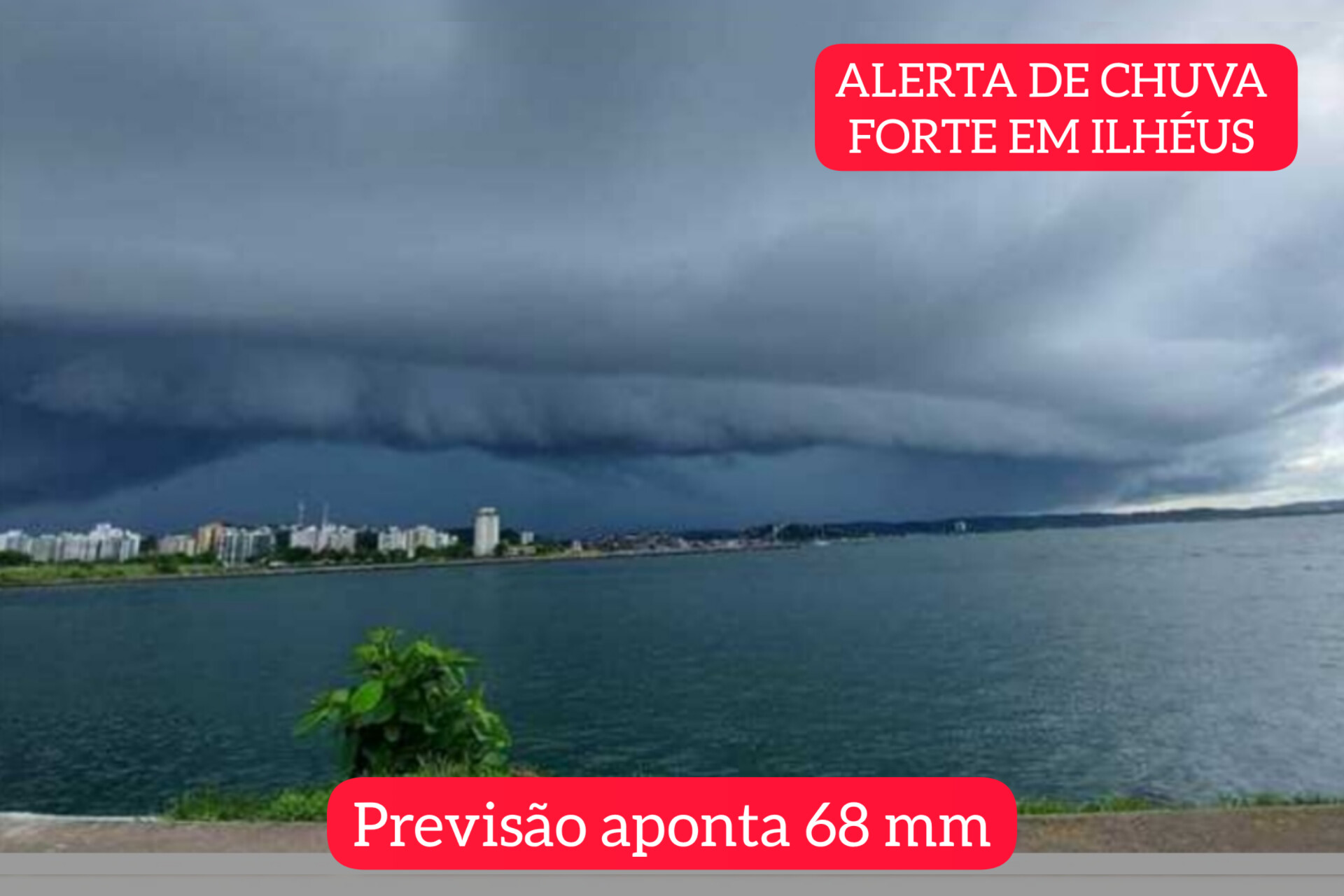 Defesa Civil renova alerta de chuvas para Ilhéus; previsão aponta 68 mm até a próxima quarta (17)