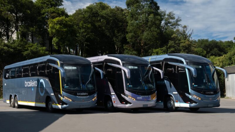 Empresas Rota, Cidade Sol e Brasileiro adotam medidas para atender à demanda das festas juninas