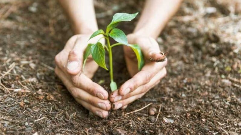 Seduc promove Caminhada Ecológica com alunos da Escola Municipal Rotary nesta segunda-feira (5)