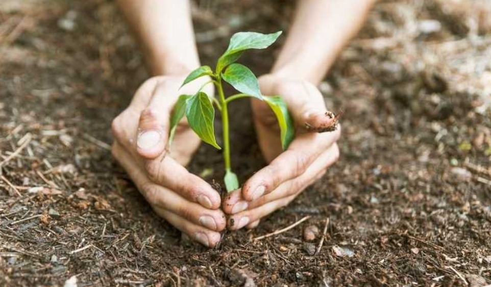 Seduc promove Caminhada Ecológica com alunos da Escola Municipal Rotary nesta segunda-feira (5)