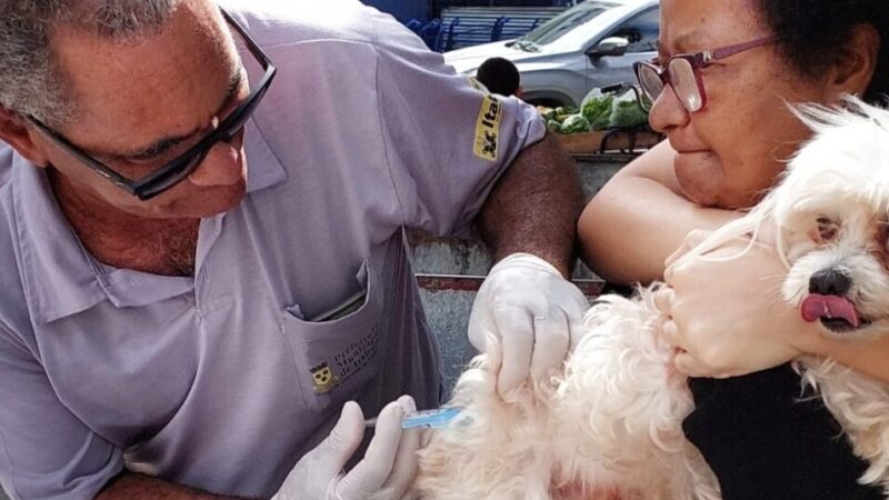 Vacinação antirrábica chega nesta quarta-feira a mais quatro bairros de Itabuna