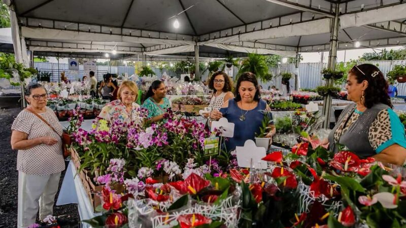 Ilhéus em Flor começa nesta terça-feira (24); exposição acontece na Avenida Soares Lopes