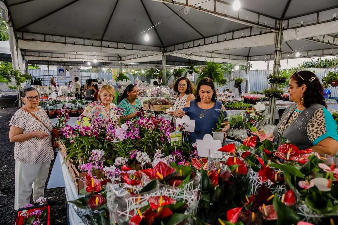 Ilhéus em Flor começa nesta terça-feira (24); exposição acontece na Avenida Soares Lopes