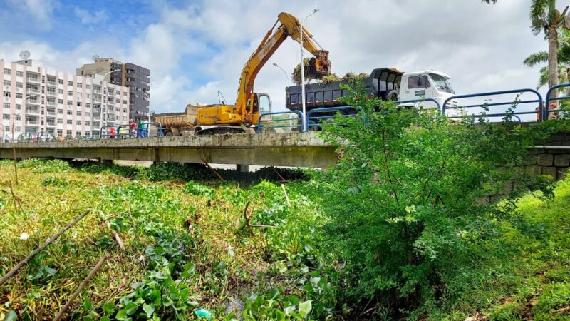 Prefeitura mobiliza Força-Tarefa para remoção de baronesas do Rio Cachoeira em Itabuna