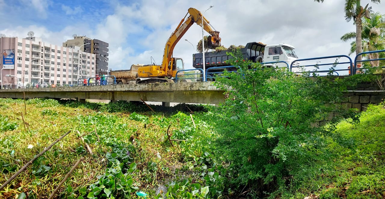 Prefeitura mobiliza Força-Tarefa para remoção de baronesas do Rio Cachoeira em Itabuna