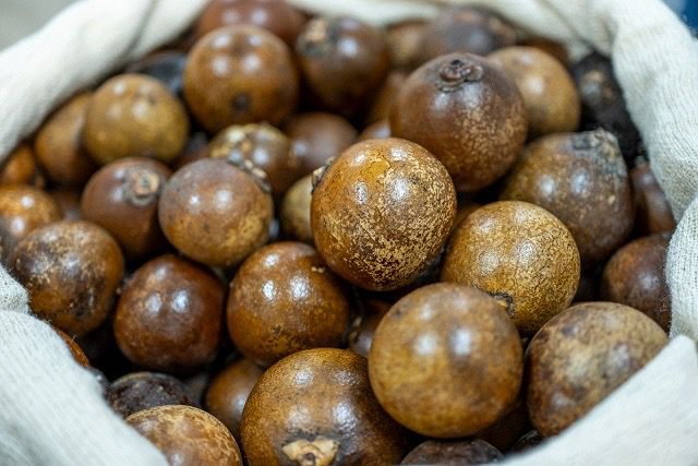 Acelen apresenta projeto de combustíveis renováveis na Semana de Inovação Ilhéus 2024