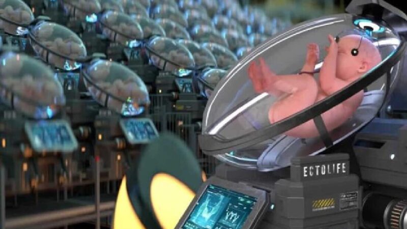 Maternidade e futuras gerações