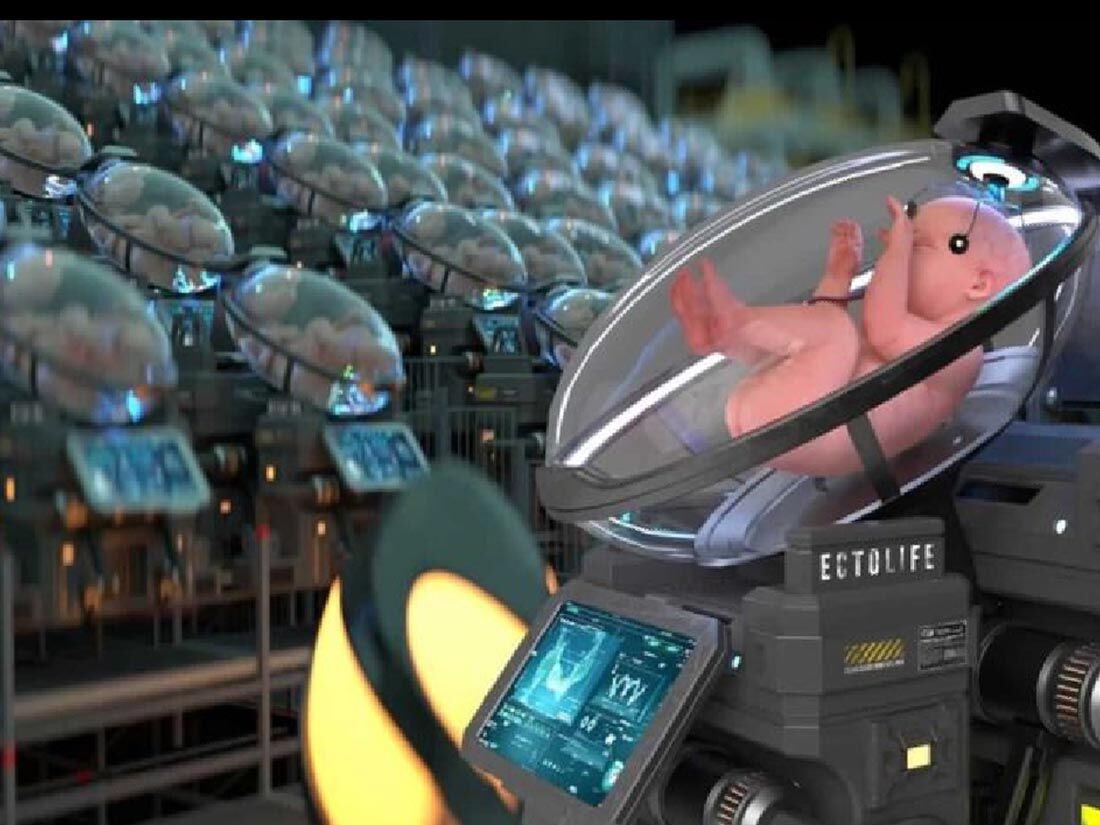 Maternidade e futuras gerações