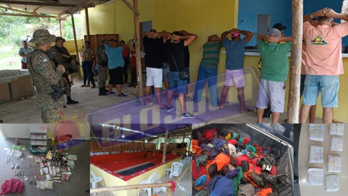 FLORESTA AZUL: nove pessoas são presas em arena utilizada para briga de galos