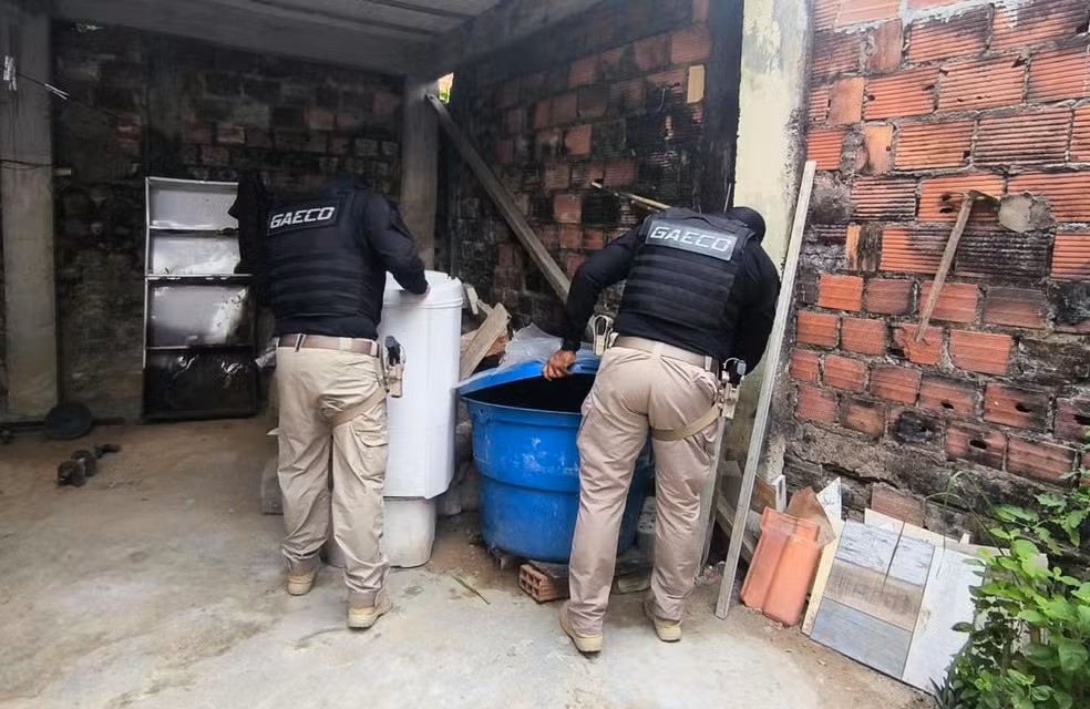 Operação Lobo Mau: dois homens foram presos na Bahia por envolvimento em rede criminosa de abuso sexual infantil