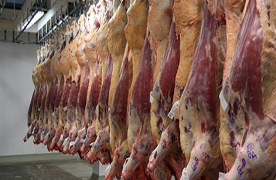 ADASB explica cenário de recuperaçãode perdas de 40% da arroba do boi gordo