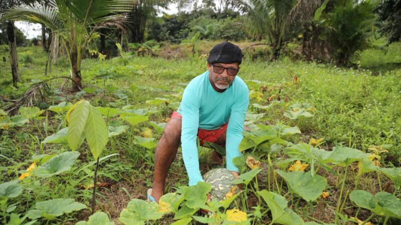 Prefeitura de Itabuna vai distribuir cerca de 900 kg de sementes de milho, feijão e de hortifrutigranjeiros a 14 associações rurais