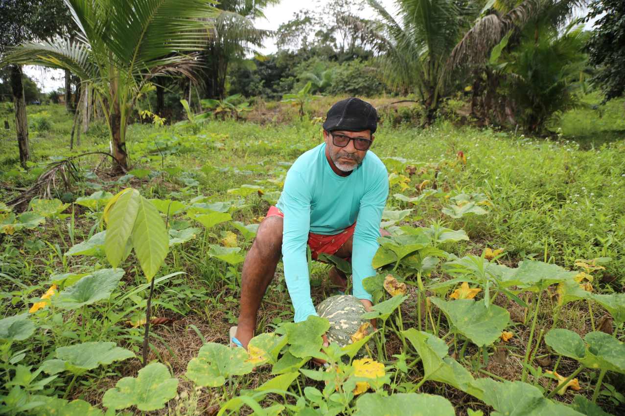 Prefeitura de Itabuna vai distribuir cerca de 900 kg de sementes de milho, feijão e de hortifrutigranjeiros a 14 associações rurais
