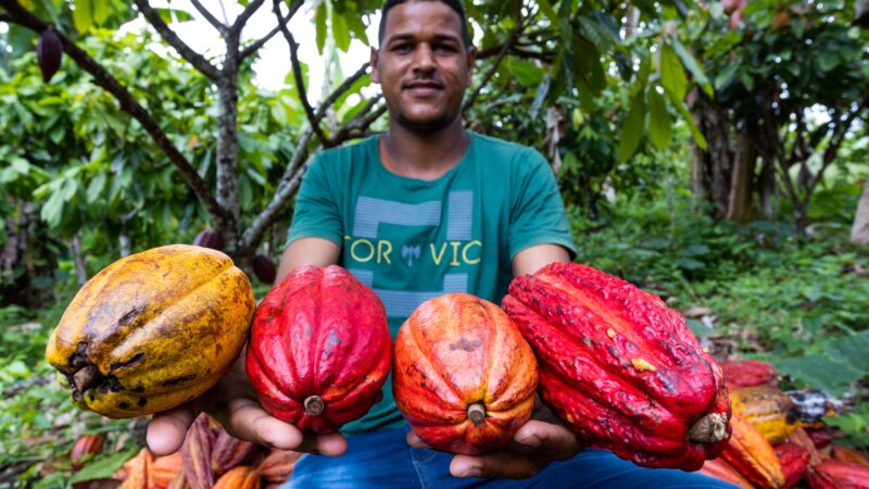 Governo do Estado lança projeto para impulsionar desenvolvimento sustentável da Mata Atlântica