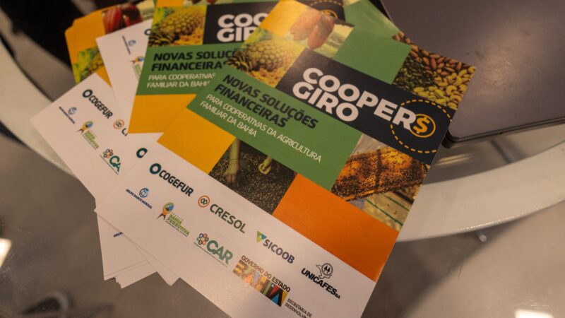 Acesso ao crédito fortalece agroindústrias familiares da Bahia e impulsiona cooperativismo