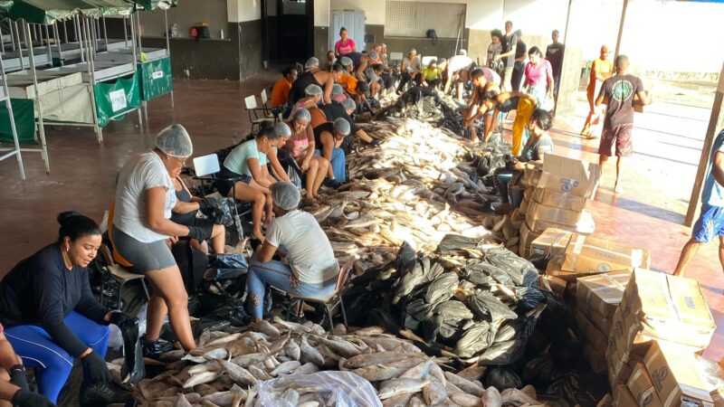 Mais de 21 toneladas de peixes são distribuídas pela Prefeitura de Ibirapitanga na Semana Santa