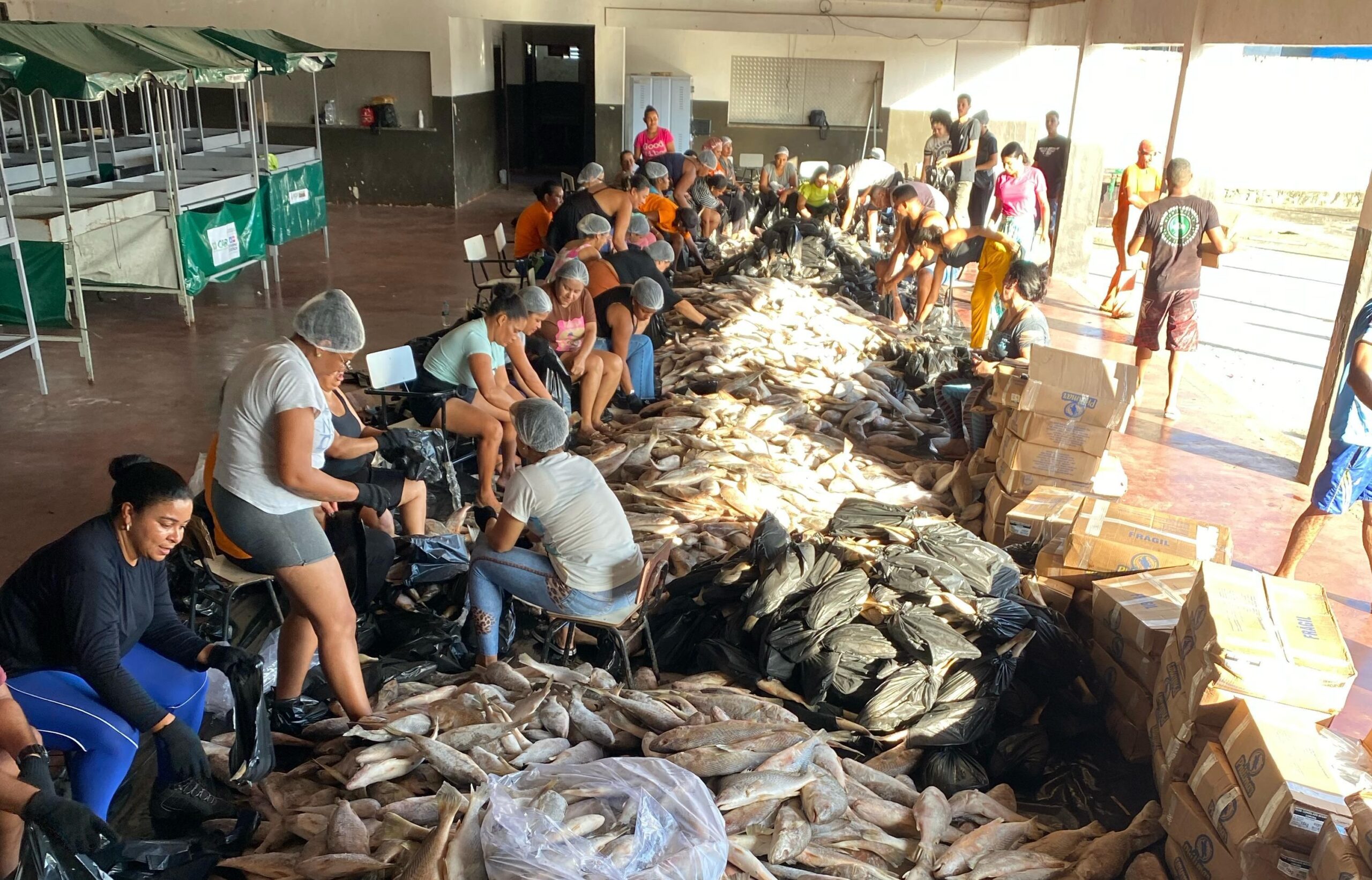 Mais de 21 toneladas de peixes são distribuídas pela Prefeitura de Ibirapitanga na Semana Santa