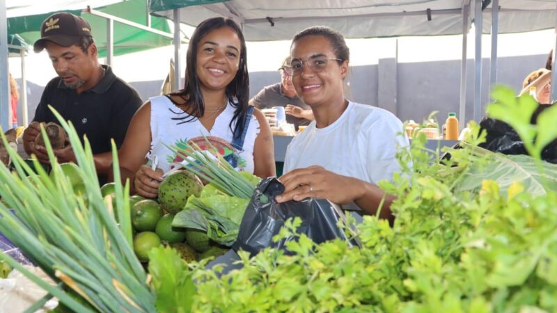 Sucesso de público e vendas marca 2ª Feira de Agricultura Familiar em Ibirapitanga