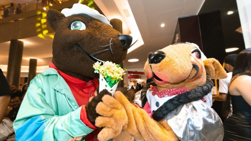 Ita Pedro 2025 – Maior São Pedro do Brasil já tem data marcada e anuncia grade histórica