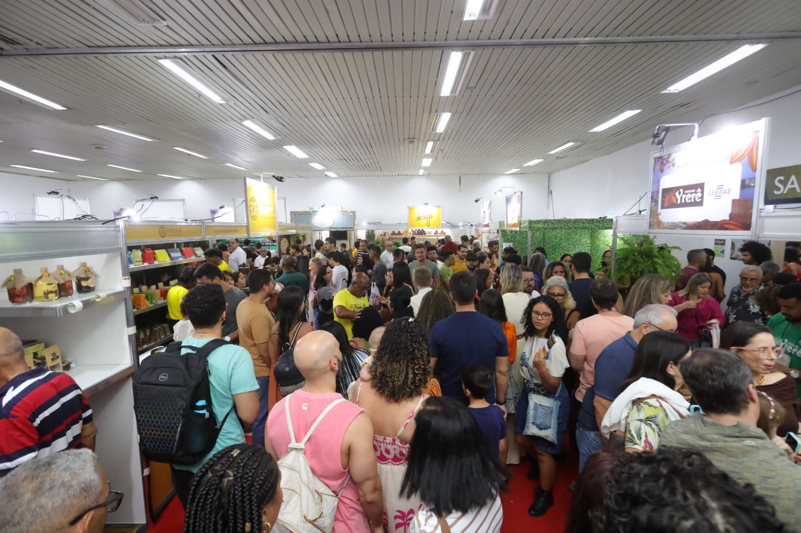 Chocolat Festival em Ilhéus gera R$ 20 milhões em negócios e impulsiona chocolates de origem do Sul da Bahia
