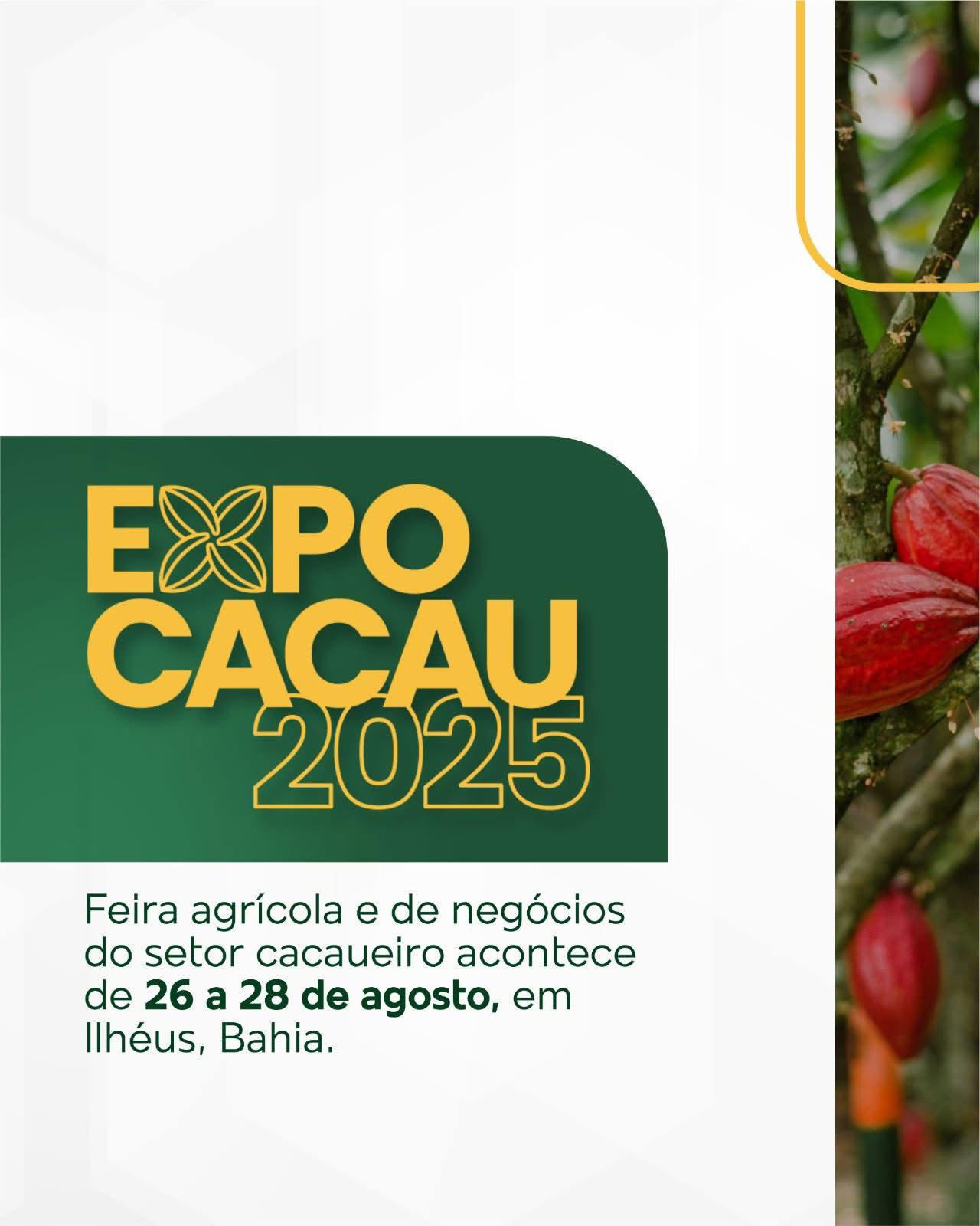 Festival “A Gosto de Jorge” segue com exibição de Capitães da Areia neste sábado em Ilhéus