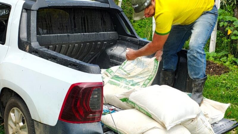 Itabuna inicia a entrega de cinco mil mudas de cacau clonal e 20 mil mudas de mandioca e aipim em nova etapa do “Parceria Mais Forte”