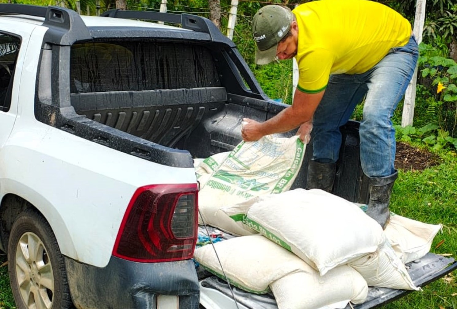 Itabuna inicia a entrega de cinco mil mudas de cacau clonal e 20 mil mudas de mandioca e aipim em nova etapa do “Parceria Mais Forte”
