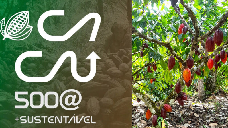 Encontro Cacau 500@ + Sustentável debate novas tecnologias e aumento da produtividade