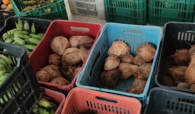 Governo da Bahia atende 400 famílias do CRAS I e Itinerante 2 de Itabuna com alimentos do PAA