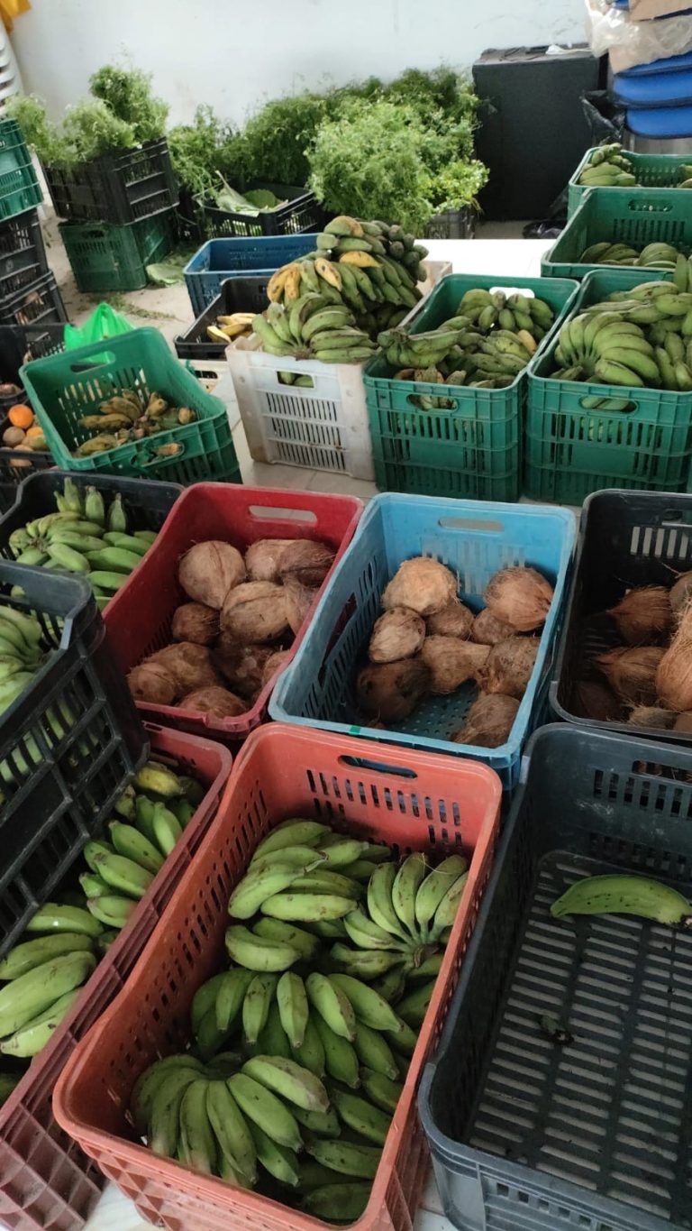 Governo da Bahia atende 400 famílias do CRAS I e Itinerante 2 de Itabuna com alimentos do PAA