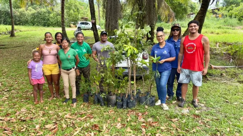 Prefeitura de Ilhéus leva Projeto Vivares ao bairro São Domingos e realiza plantio de árvores