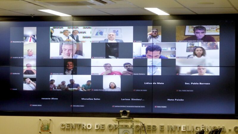 Comissão baiana do cacau alinha estratégias para fortalecer defesa dos produtores e da produção nacional