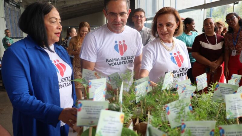 Mulheres são maioria nas ações de voluntariado do EstadoPopulação feminina corresponde a mais de 61% do total de cadastrados em programa do governo estadual que fomenta a atuação solidária dos cidadãos baianos