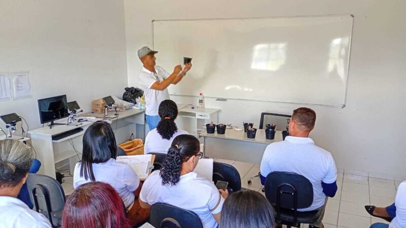 Ilhéus inicia implantação de ovitrampas e reforça monitoramento no combate ao Aedes aegypti
