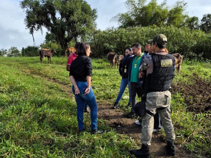 Prefeitura de Itabuna notifica criadouros e propriedades rurais nas proximidades da área urbana para evitar animais soltos nas vias públicas