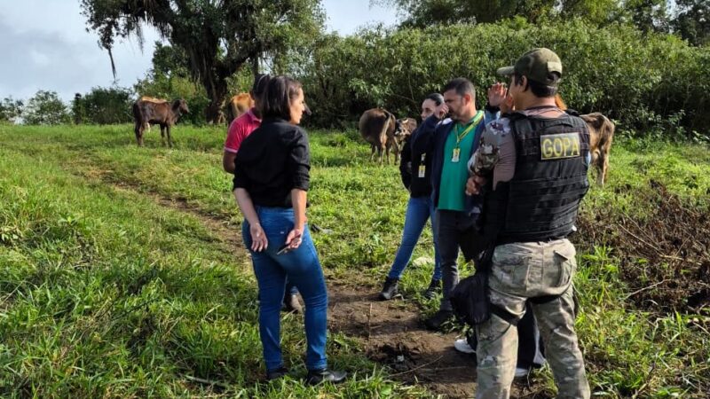 Prefeitura de Itabuna notifica criadouros e propriedades rurais nas proximidades da área urbana para evitar animais soltos nas vias públicas