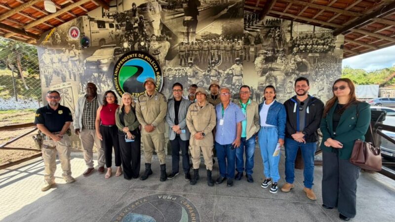 Força-tarefa define operação para combater animais soltos nas rodovias e avenidas de Itabuna
